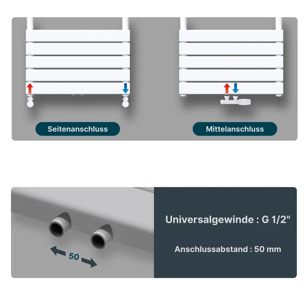 Boston_White Common_1.webp